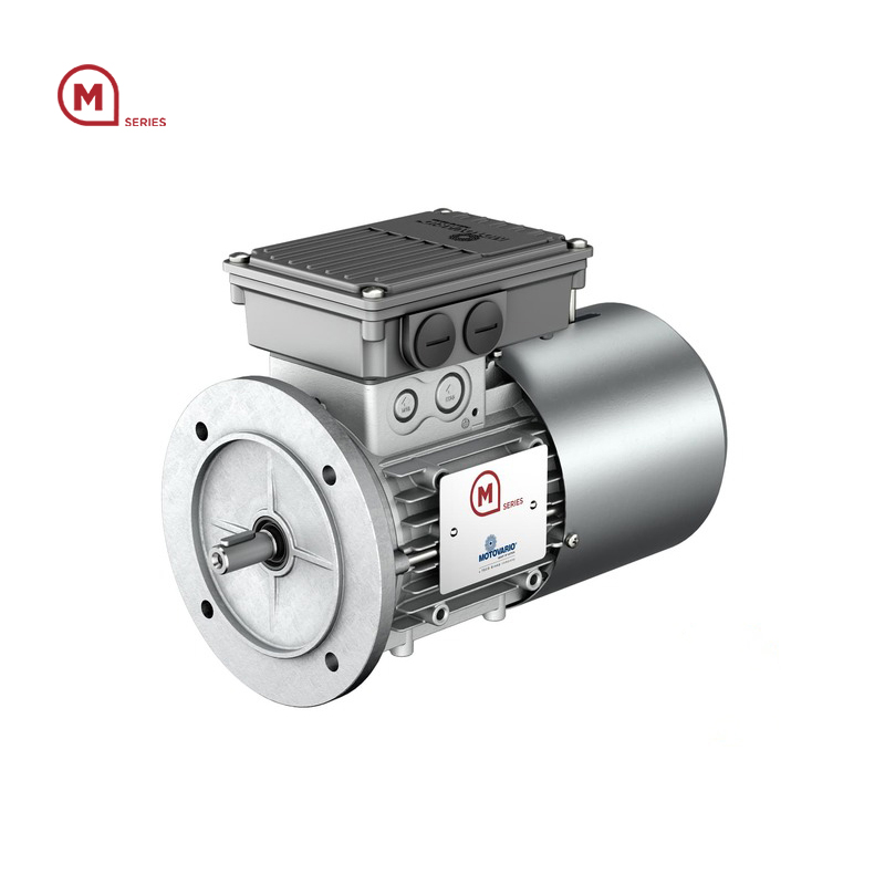 Single-Phase Motor